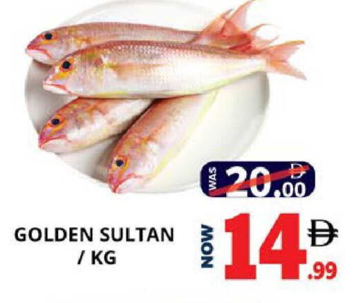 available at اكسبرس المدينة هايبرماركت in الإمارات العربية المتحدة , الامارات - أبو ظبي