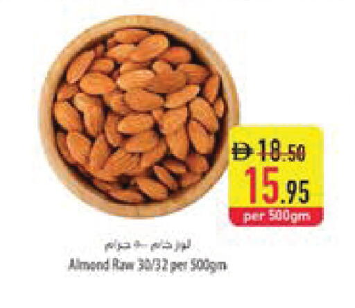 available at السفير ماركت in الإمارات العربية المتحدة , الامارات - ٱلْعَيْن‎