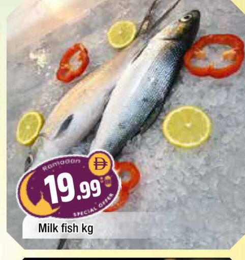 available at AL MADINA in UAE - Sharjah / Ajman