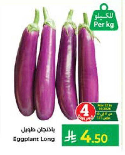 Eggplant available at Kabayan Hypermarket in KSA, Saudi Arabia, Saudi - Jeddah
