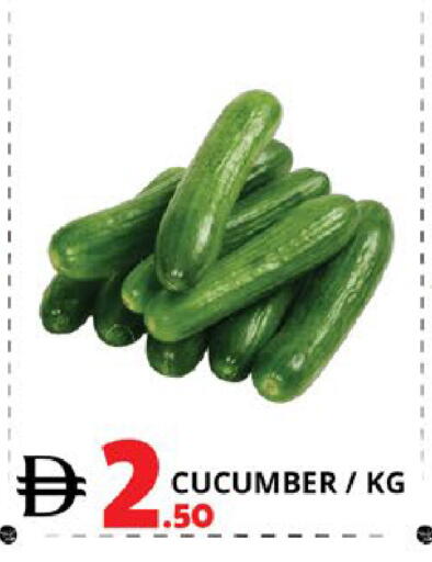 Cucumber available at اكسبرس المدينة هايبرماركت in الإمارات العربية المتحدة , الامارات - أبو ظبي