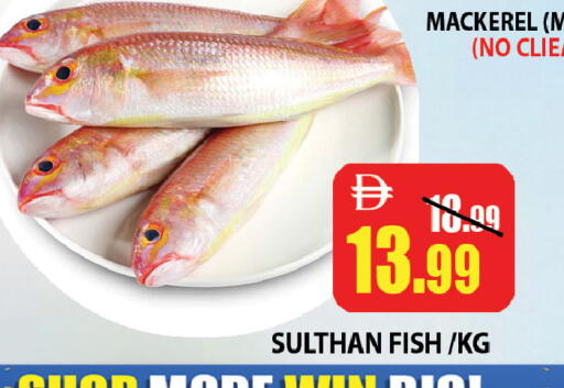 available at ليبتس هايبرماركت in الإمارات العربية المتحدة , الامارات - ٱلْعَيْن‎