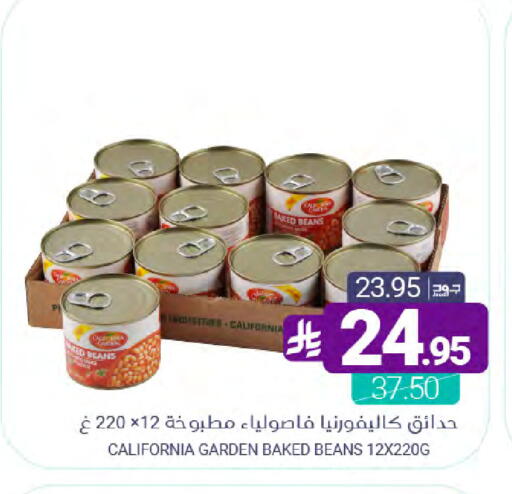 available at Muntazah Markets in KSA, Saudi Arabia, Saudi - Saihat