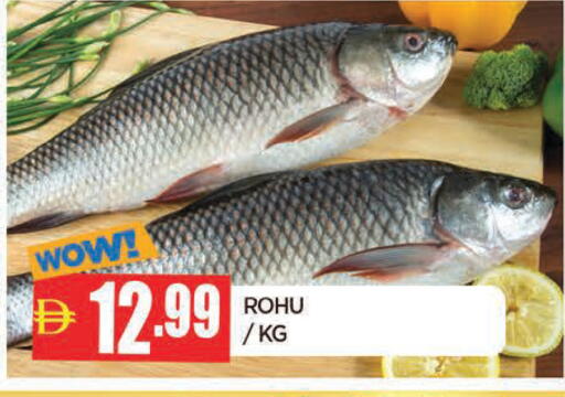 available at AL MADINA in UAE - Sharjah / Ajman