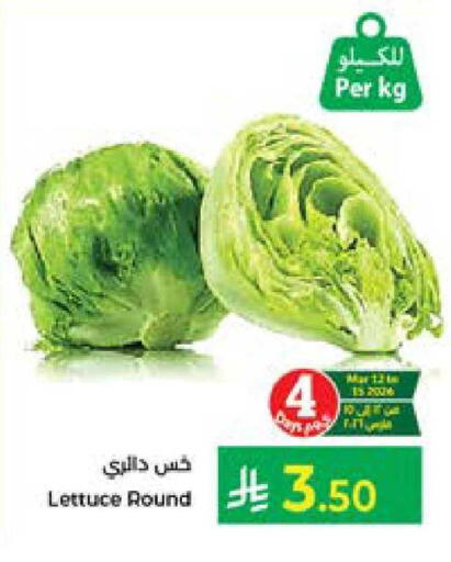 Lettuce available at Kabayan Hypermarket in KSA, Saudi Arabia, Saudi - Jeddah