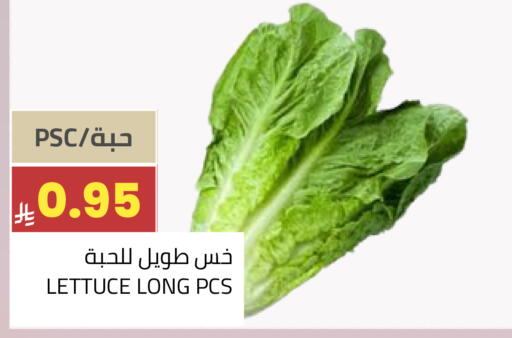Lettuce available at أسواق أسترا in مملكة العربية السعودية, السعودية, سعودية - تبوك