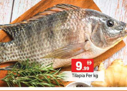 available at جلف هايبرماركت ذ.م.م in الإمارات العربية المتحدة , الامارات - رَأْس ٱلْخَيْمَة