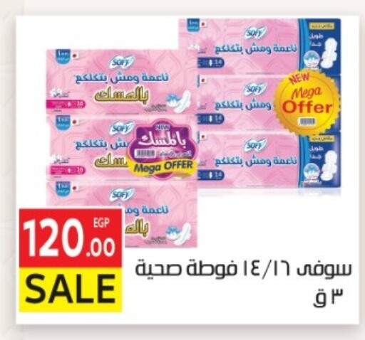 available at El Mahallawy Market  in Egypt - Cairo