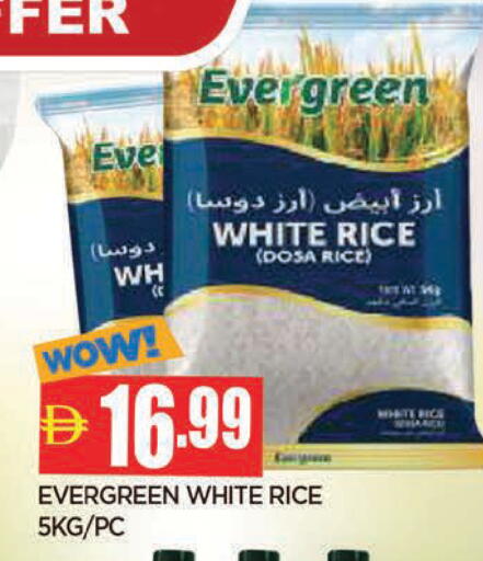 available at المدينة in الإمارات العربية المتحدة , الامارات - الشارقة / عجمان