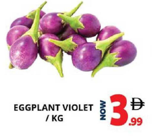 Eggplant available at اكسبرس المدينة هايبرماركت in الإمارات العربية المتحدة , الامارات - أبو ظبي