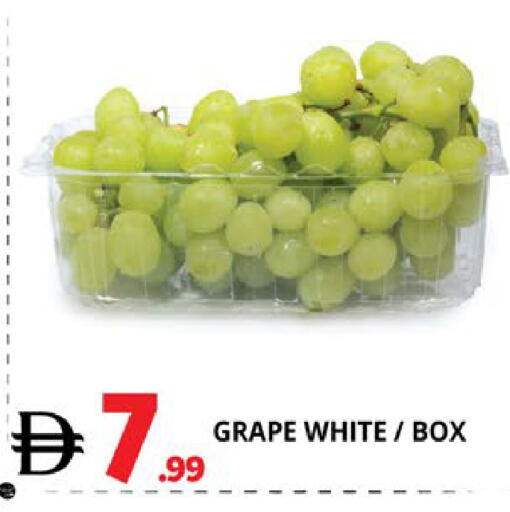 available at اكسبرس المدينة هايبرماركت in الإمارات العربية المتحدة , الامارات - أبو ظبي