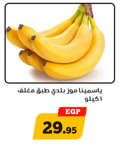 available at أولاد رجب in Egypt - القاهرة