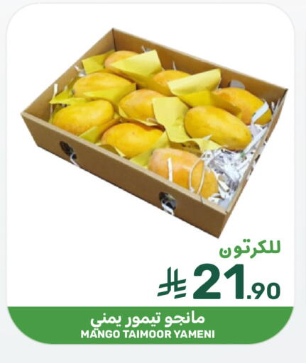 Mango available at Mazaya in KSA, Saudi Arabia, Saudi - Saihat