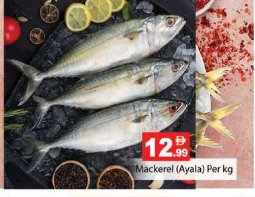 available at جلف هايبرماركت ذ.م.م in الإمارات العربية المتحدة , الامارات - رَأْس ٱلْخَيْمَة