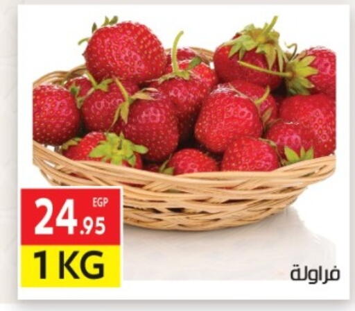 available at المحلاوي ماركت in Egypt - القاهرة