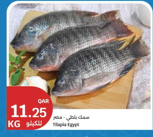 available at سيتي هايبرماركت in قطر - الريان