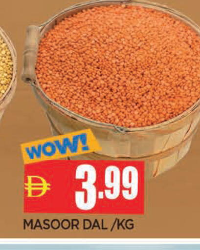 available at المدينة in الإمارات العربية المتحدة , الامارات - الشارقة / عجمان