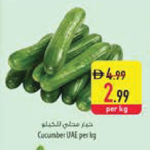 Cucumber available at السفير ماركت in الإمارات العربية المتحدة , الامارات - ٱلْعَيْن‎
