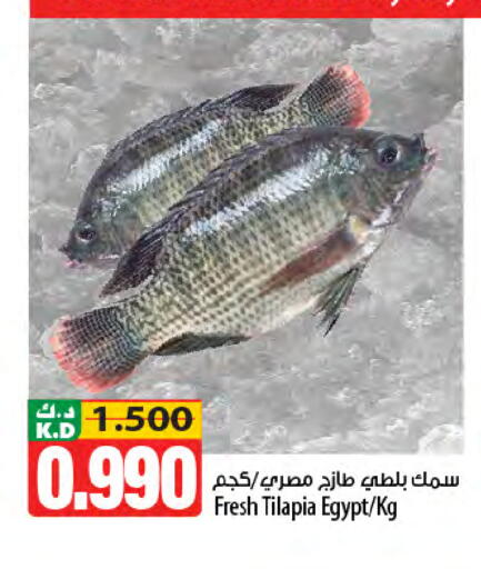 Mango available at Mango Hypermarket  in Kuwait - Ahmadi Governorate