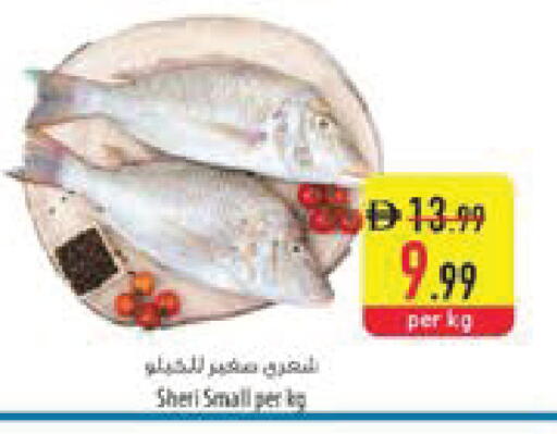 available at Safeer Market in UAE - Fujairah