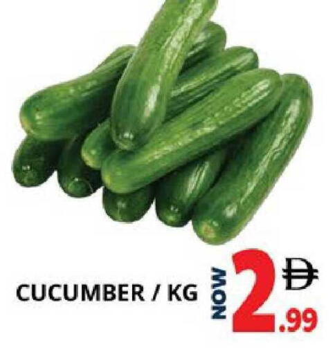 Cucumber available at اكسبرس المدينة هايبرماركت in الإمارات العربية المتحدة , الامارات - أبو ظبي
