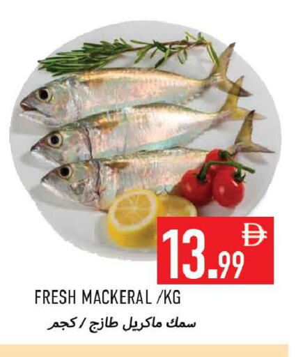 available at  روابي ماركت عجمان in الإمارات العربية المتحدة , الامارات - الشارقة / عجمان