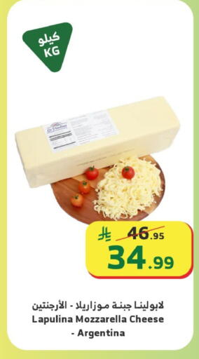 available at Al Raya in KSA, Saudi Arabia, Saudi - Najran