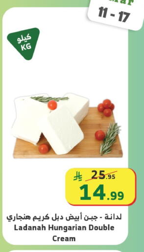 available at Al Raya in KSA, Saudi Arabia, Saudi - Bishah