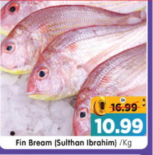 available at هايبر ماركت المدينة in الإمارات العربية المتحدة , الامارات - أبو ظبي