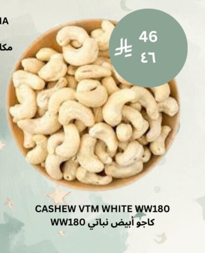 available at Risala Zahabiya Trading Co. in KSA, Saudi Arabia, Saudi - Al Hasa