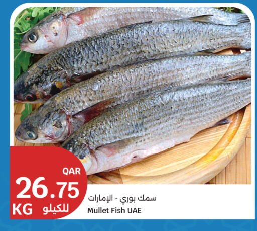 available at City Hypermarket in Qatar - Doha