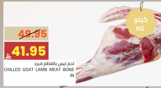 available at أسواق أسترا in مملكة العربية السعودية, السعودية, سعودية - تبوك