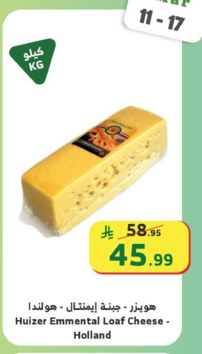 available at Al Raya in KSA, Saudi Arabia, Saudi - Najran