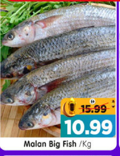 available at هايبر ماركت المدينة in الإمارات العربية المتحدة , الامارات - أبو ظبي