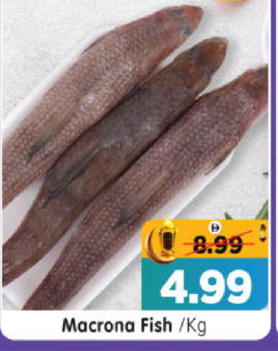 available at هايبر ماركت المدينة in الإمارات العربية المتحدة , الامارات - أبو ظبي