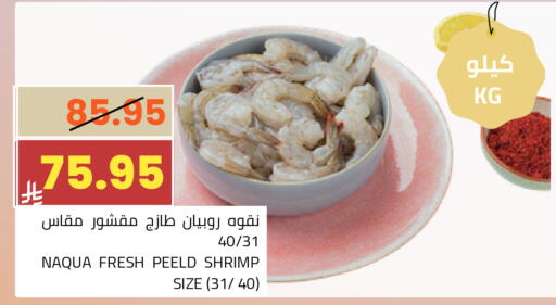 available at أسواق أسترا in مملكة العربية السعودية, السعودية, سعودية - تبوك