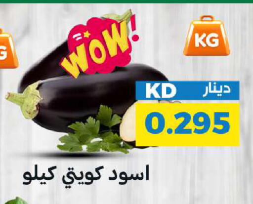 available at شركة سوق ميم المركزي  in الكويت - محافظة الجهراء