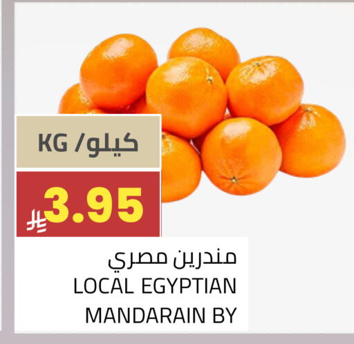 from Egypt available at أسواق أسترا in مملكة العربية السعودية, السعودية, سعودية - تبوك