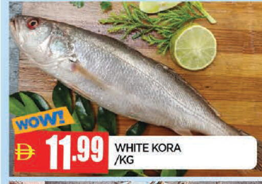 available at AL MADINA in UAE - Sharjah / Ajman