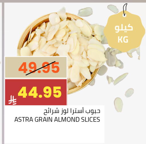 available at أسواق أسترا in مملكة العربية السعودية, السعودية, سعودية - تبوك