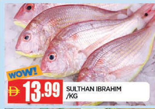 available at AL MADINA in UAE - Sharjah / Ajman