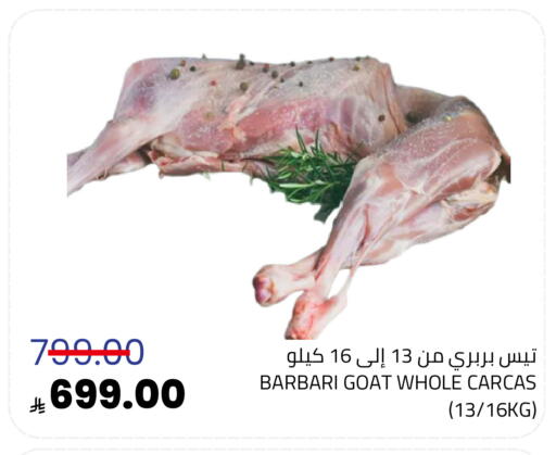 available at أسواق أسترا in مملكة العربية السعودية, السعودية, سعودية - تبوك