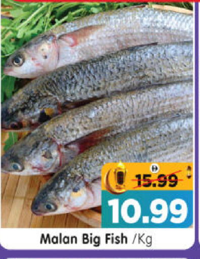 available at هايبر ماركت المدينة in الإمارات العربية المتحدة , الامارات - أبو ظبي