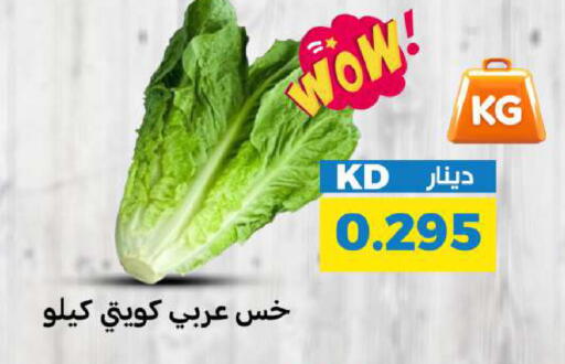 available at شركة سوق ميم المركزي  in الكويت - محافظة الجهراء