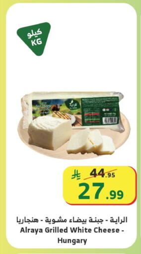 available at Al Raya in KSA, Saudi Arabia, Saudi - Najran