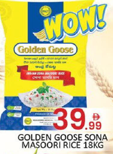 Mango available at مانجو هايبرماركت in الإمارات العربية المتحدة , الامارات - رَأْس ٱلْخَيْمَة