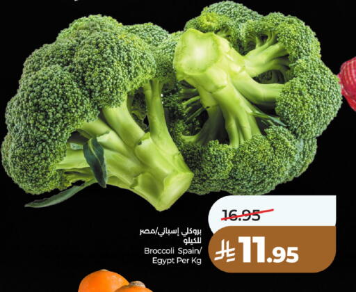 Broccoli from Spain Egypt available at LULU Hypermarket in KSA, Saudi Arabia, Saudi - Unayzah