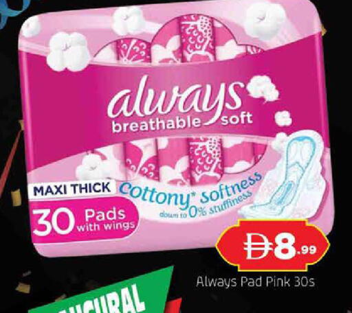 available at المدينة in الإمارات العربية المتحدة , الامارات - الشارقة / عجمان