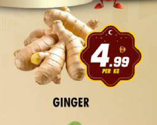 Ginger available at نايت تو نايت in الإمارات العربية المتحدة , الامارات - دبي