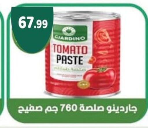 Tomato available at AlSultan Hypermarket in Egypt - Cairo